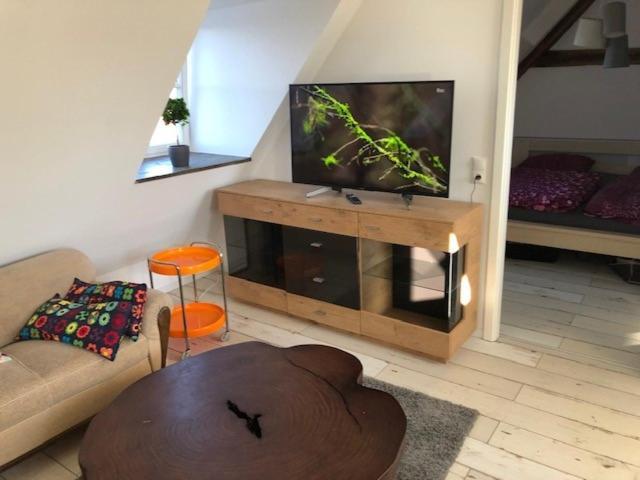 Schloss Lelkendorf Apartment Ulrichshusen Maisonette Fewo Mecklenburger Seenplatte Mit Dachterrasse Naehe Ostsee 외부 사진